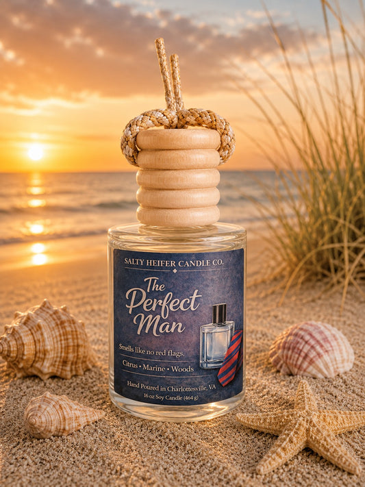 The Perfect Man